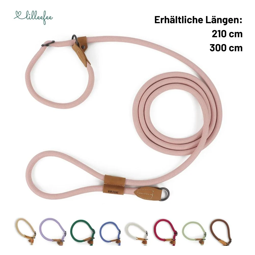 2-in-1 Hundeleine - Leine und Halsband in einem – Bild 3